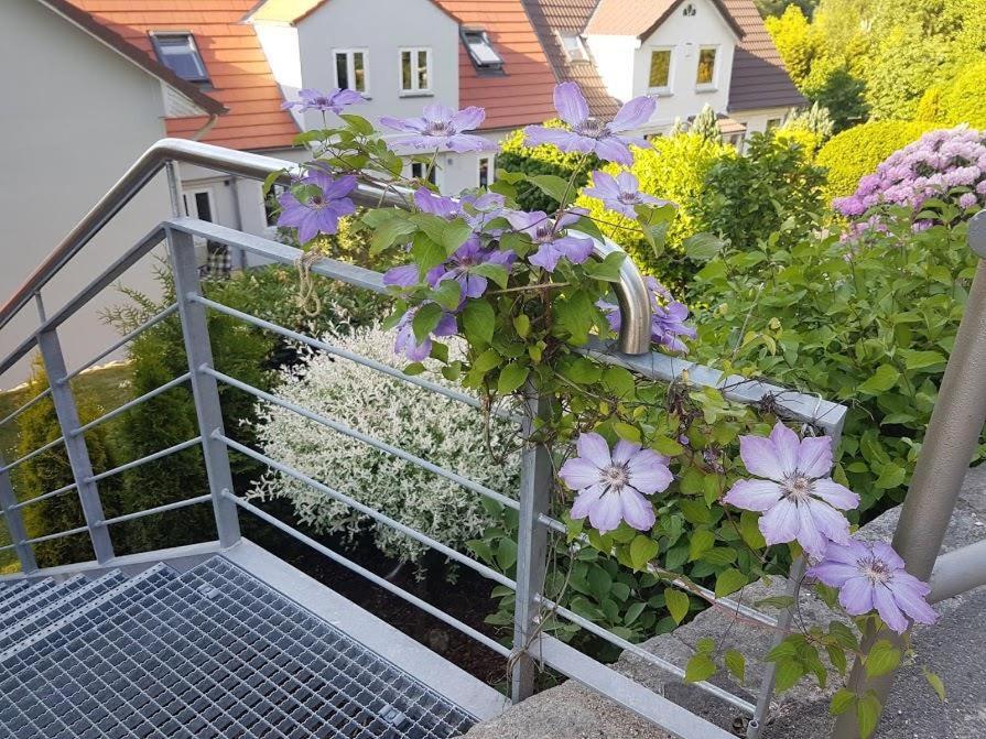 Ferienwohnung Frieda Flensburgo Exterior foto